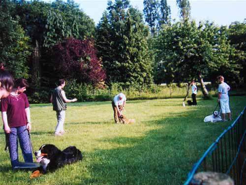 Cours d'éducation pour chien Saint-Maurice-Sur-Aveyron