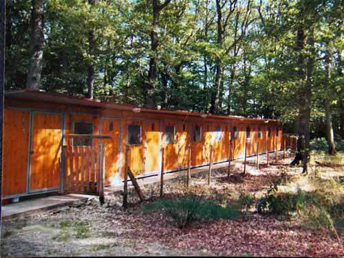 Pension pour chien Saint-Maurice-Sur-Aveyron