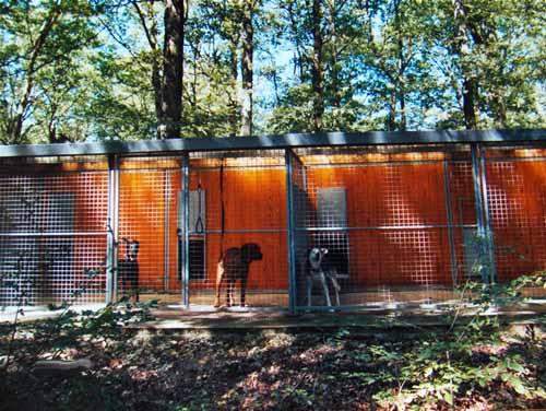 Box pour chien au milieu de la nature Saint-Maurice-Sur-Aveyron