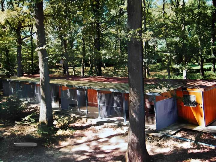 Box pour chien Saint-Maurice-Sur-Aveyron