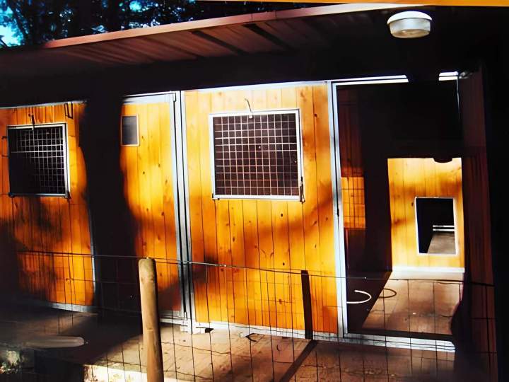 Pension pour chien Saint-Maurice-Sur-Aveyron